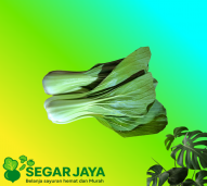 pakcoy