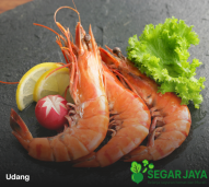 Udang Segar